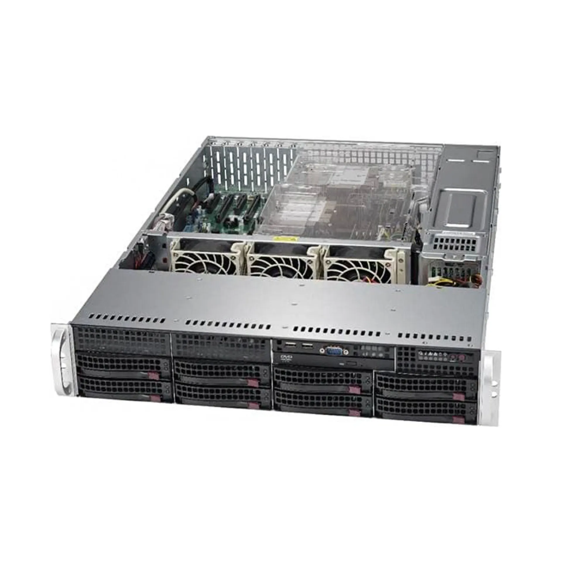 Happyware BA-DAE35-2LTCV4G-T-R