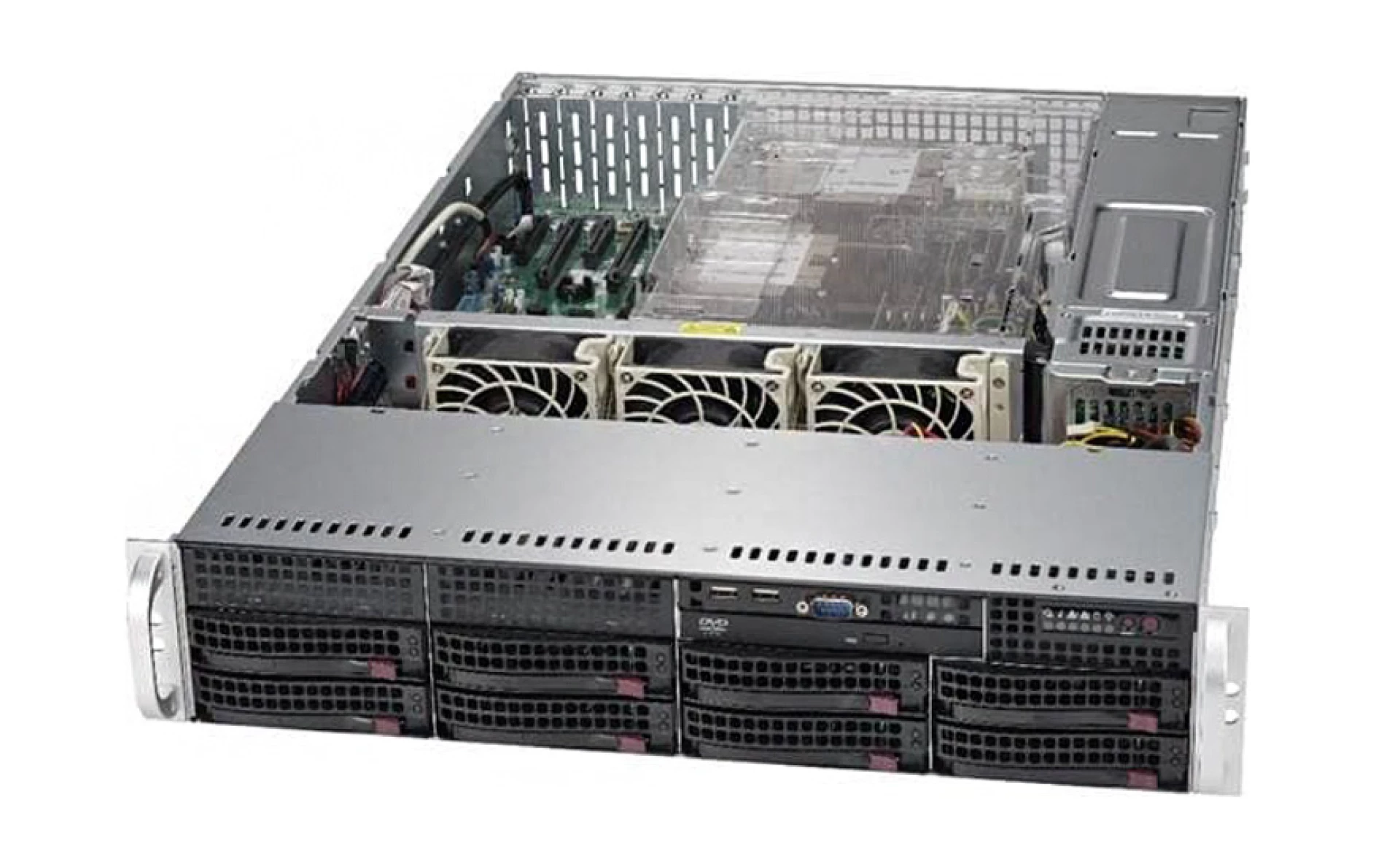 Happyware BA-DAE35-2LTCV4G-T-R angle view